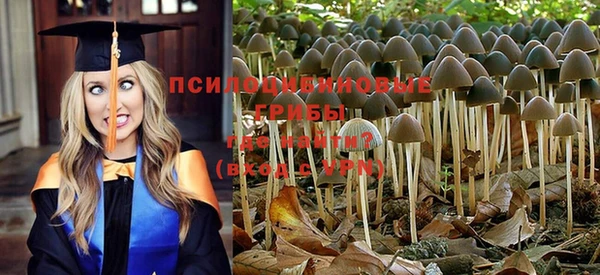 трава Мегион