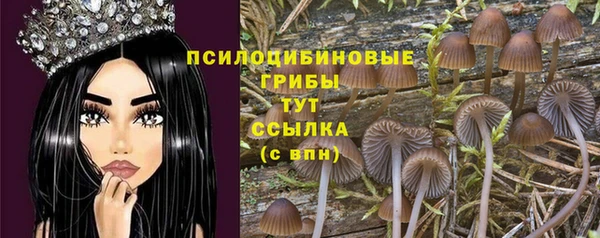 кристаллы Медногорск