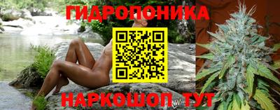 прущие крисы Гусев