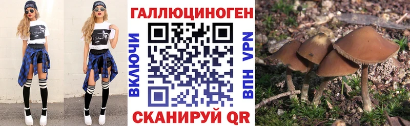 Галлюциногенные грибы Cubensis  магазин продажи наркотиков  МЕГА ССЫЛКА  Шебекино 