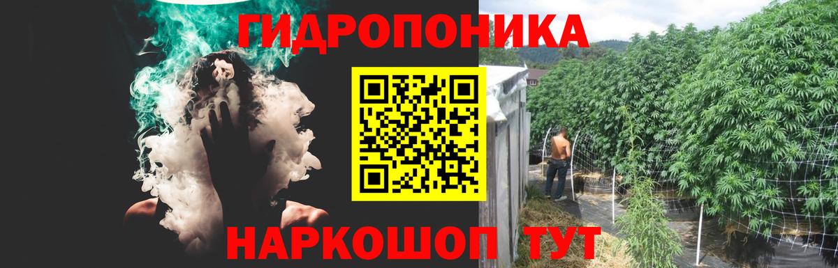 Шишки марихуана VHQ  Вход с VPN  Шебекино  Бошки Шишки VHQ  МАРИХУАНА SATIVA & INDICA 